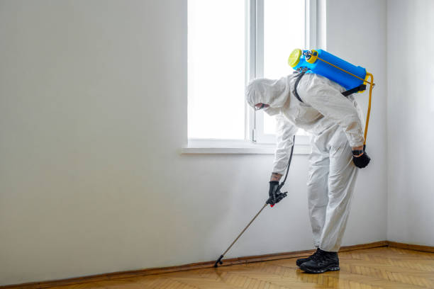 Best Best Pest Control Companies  in Locust Grove, OK